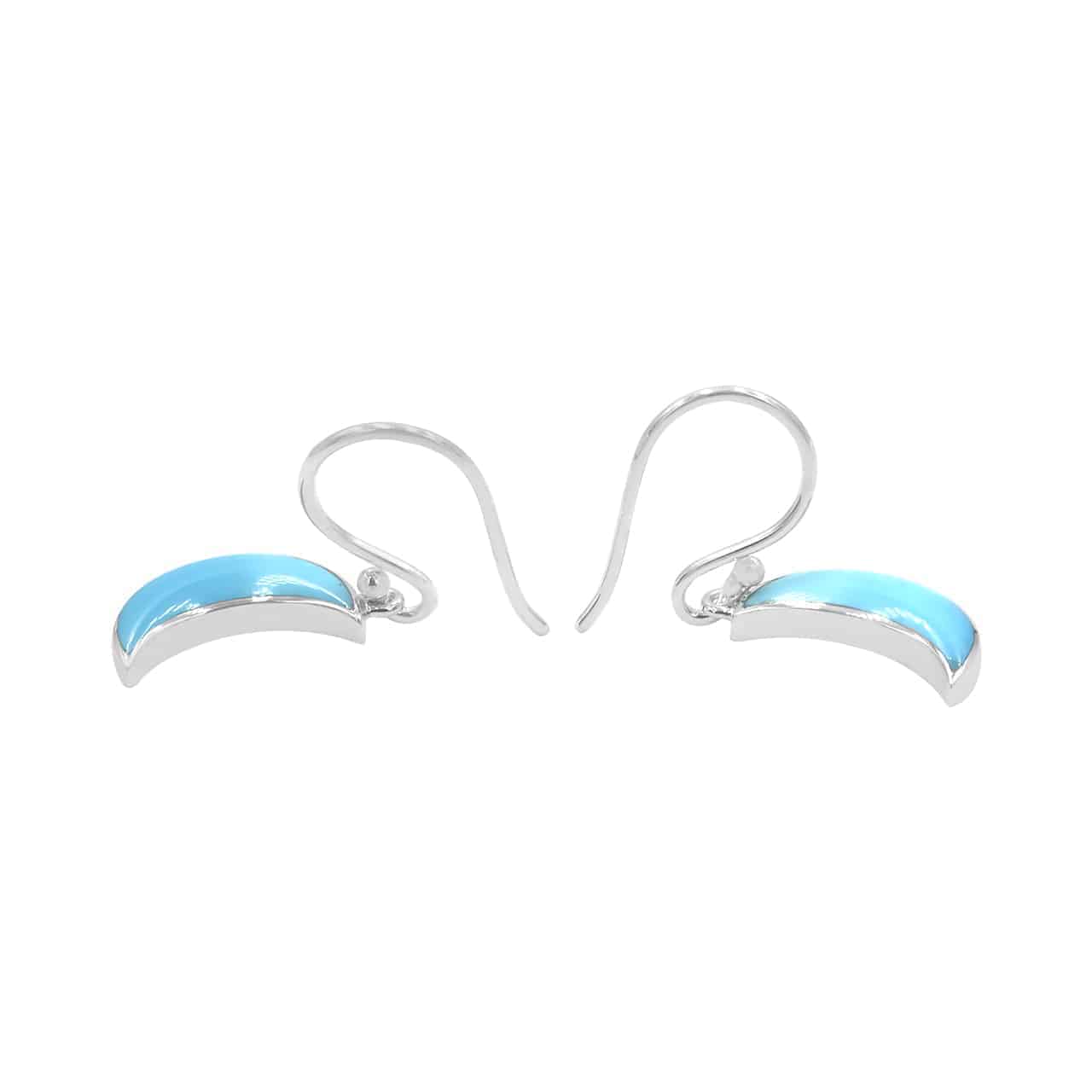 Turquoise Crescent Moon Drop Earrings