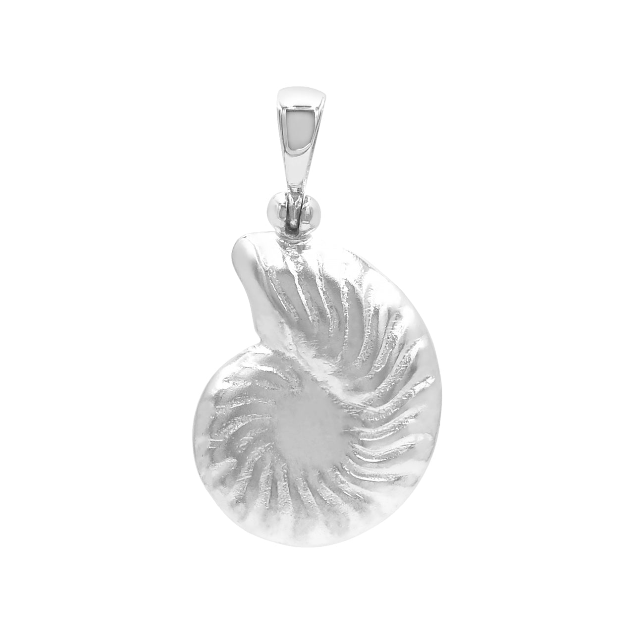 Nautilus Pendant with Sleeping Beauty Turquoise - Small