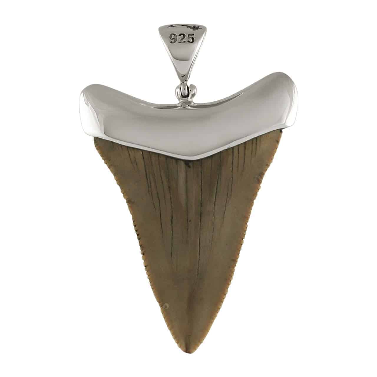 Fossil-Giant-Great-White-Shark-Tooth-Sterling-Silver-Pendant-B07B3NWBBS-2