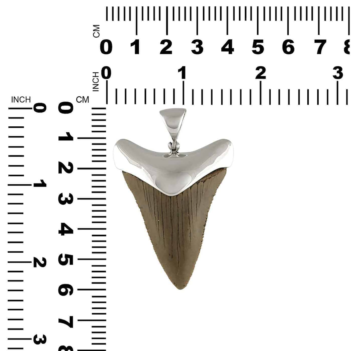 Fossil-Giant-Great-White-Shark-Tooth-Sterling-Silver-Pendant-B07B3NWBBS-7