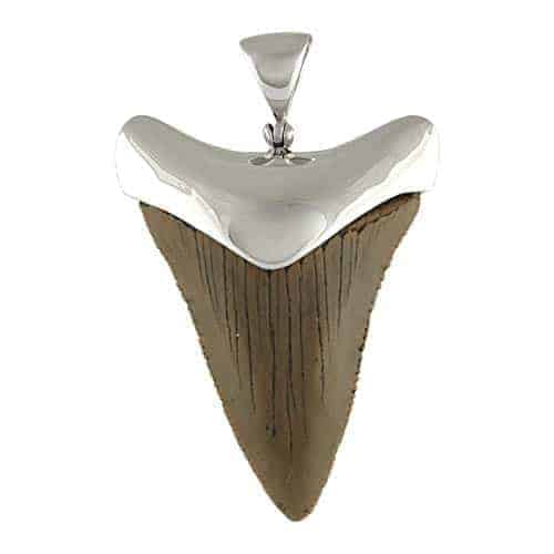 Fossil-Giant-Great-White-Shark-Tooth-Sterling-Silver-Pendant-B07B3NWBBS