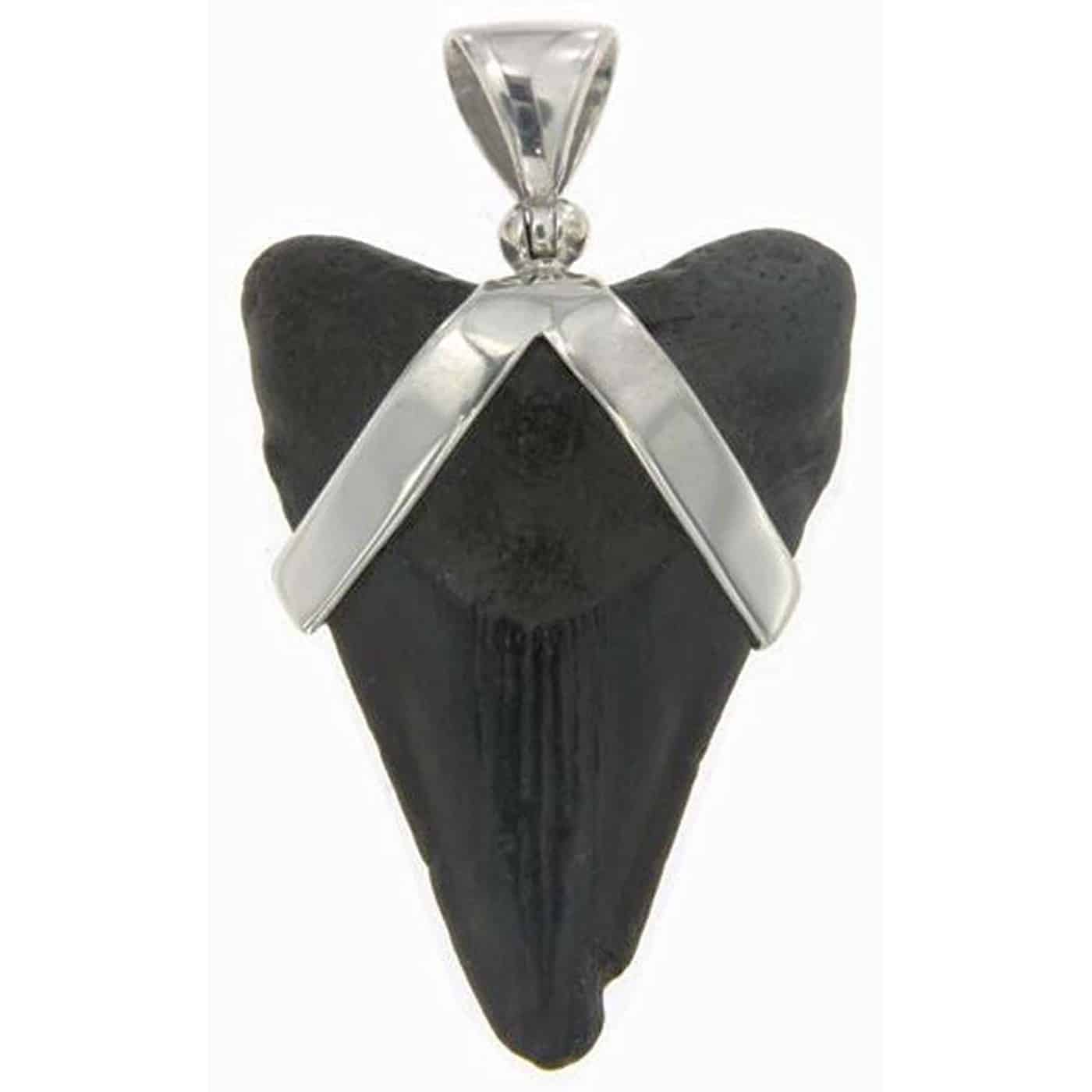 Fossil-Mako-Shark-Tooth-Sterling-Silver-Pendant-B00JW1VERG-2