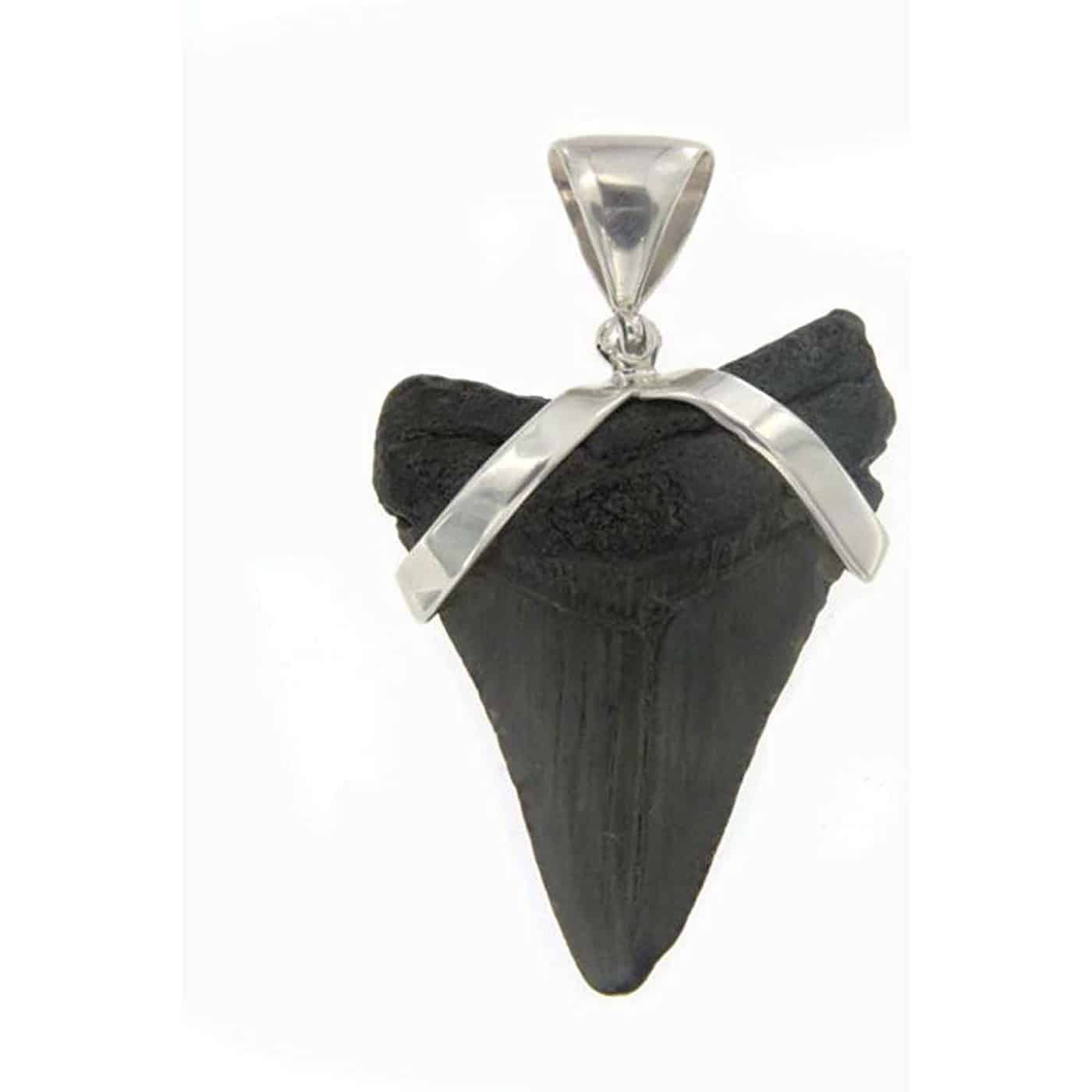 Fossil-Mako-Shark-Tooth-Sterling-Silver-Pendant-B00JW1VERG-3