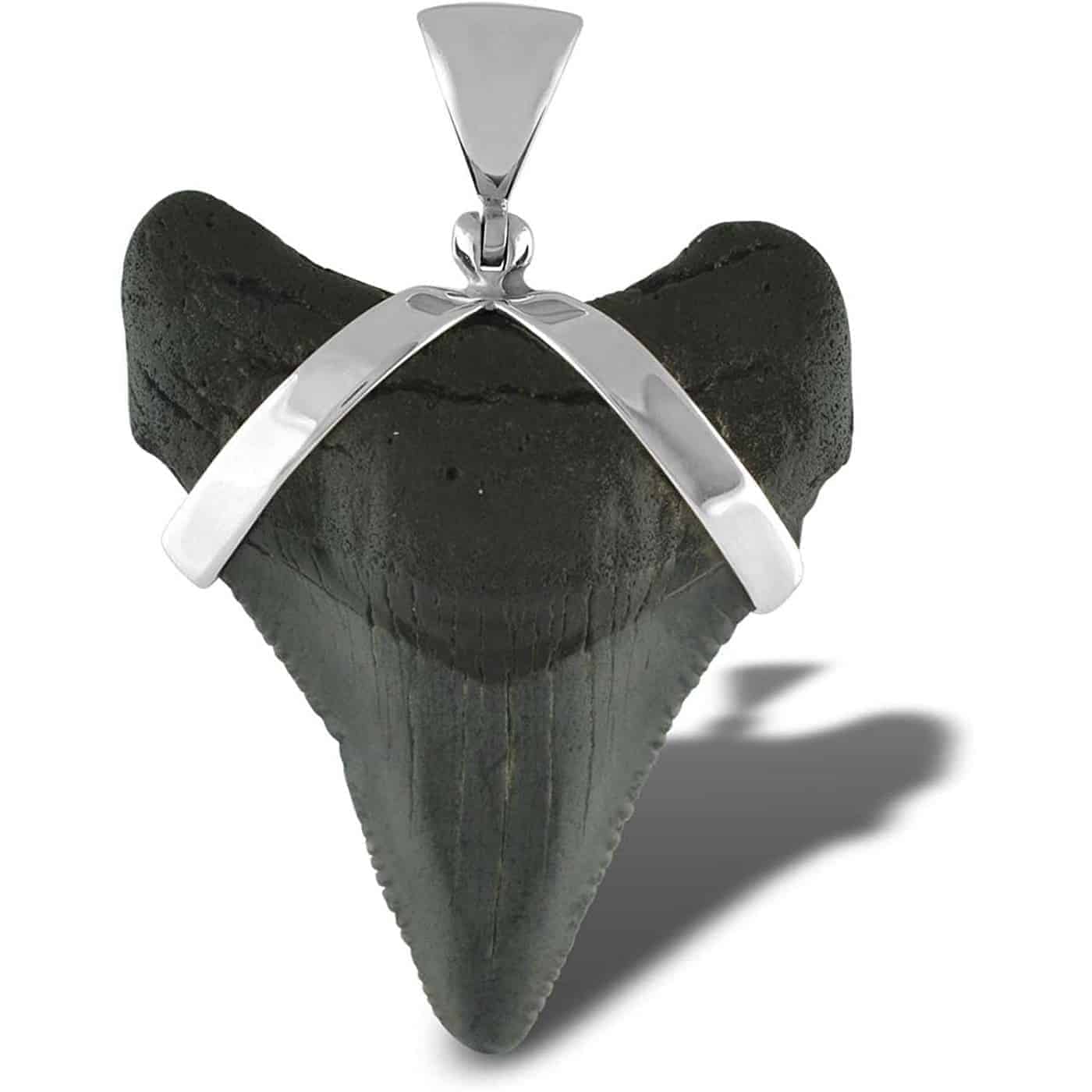 Fossil-Mako-Shark-Tooth-Sterling-Silver-Pendant-B00JW1VERG-4