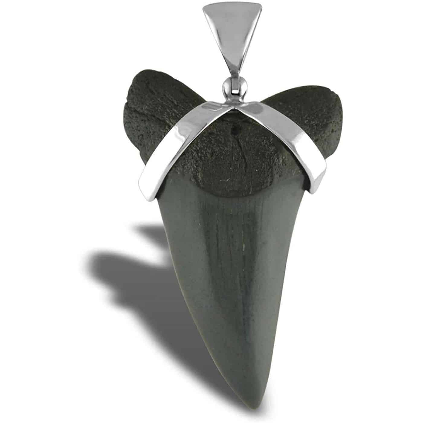 Fossil-Mako-Shark-Tooth-Sterling-Silver-Pendant-B00JW1VERG-5