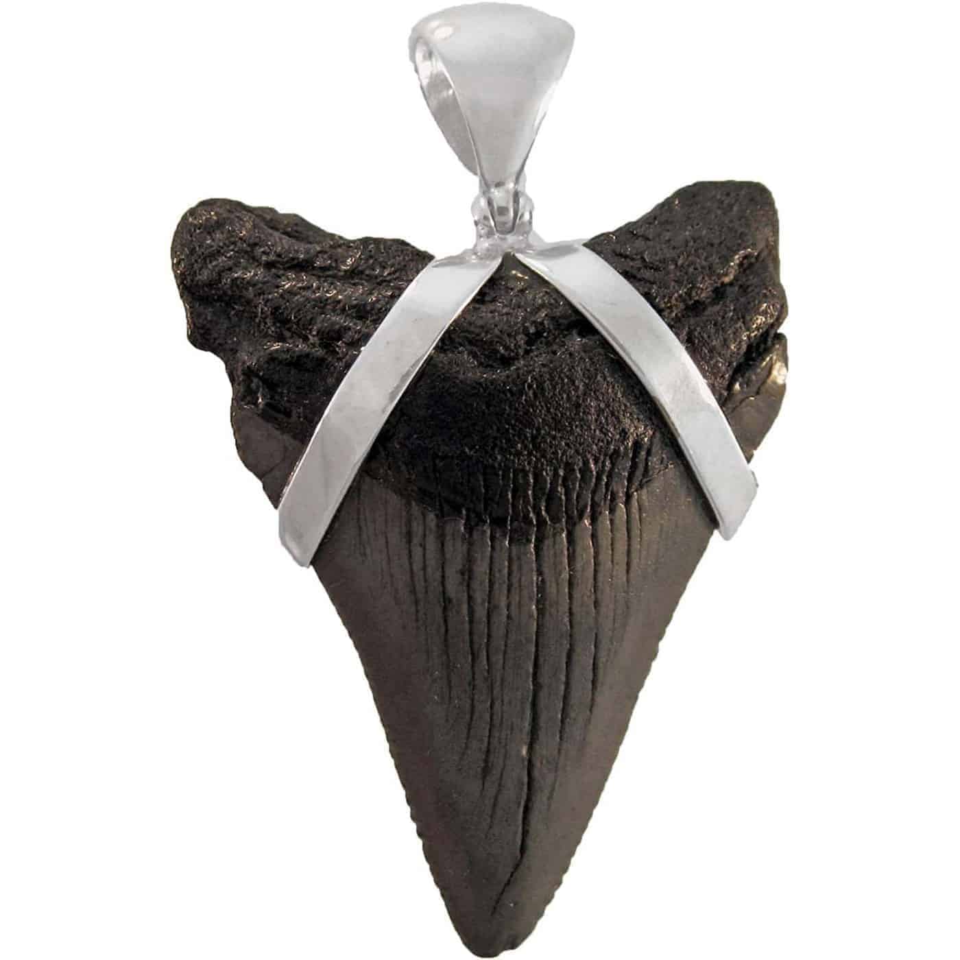 Fossil-Mako-Shark-Tooth-Sterling-Silver-Pendant-B00JW1VERG