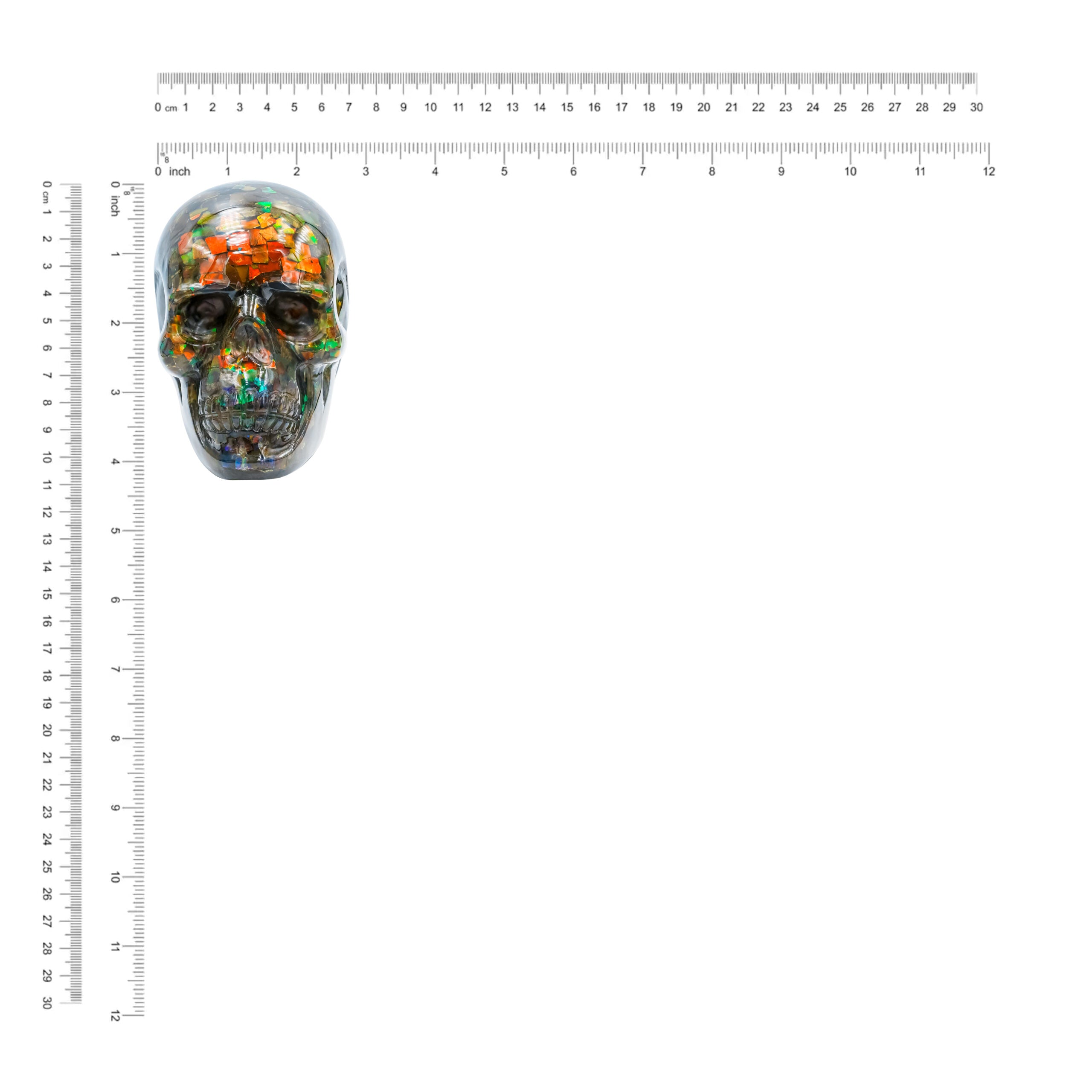 Hand Carved Ammolite Skull Carving 4400 cts