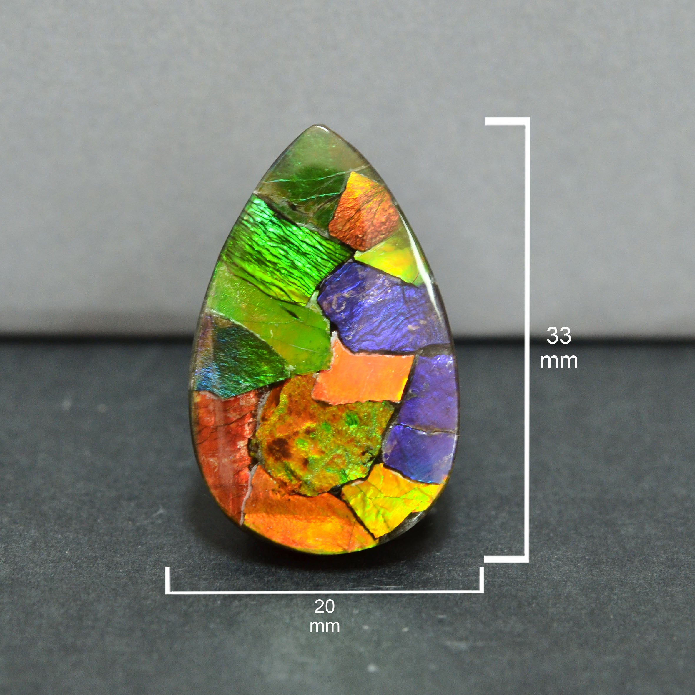 Ammolite Loose stone