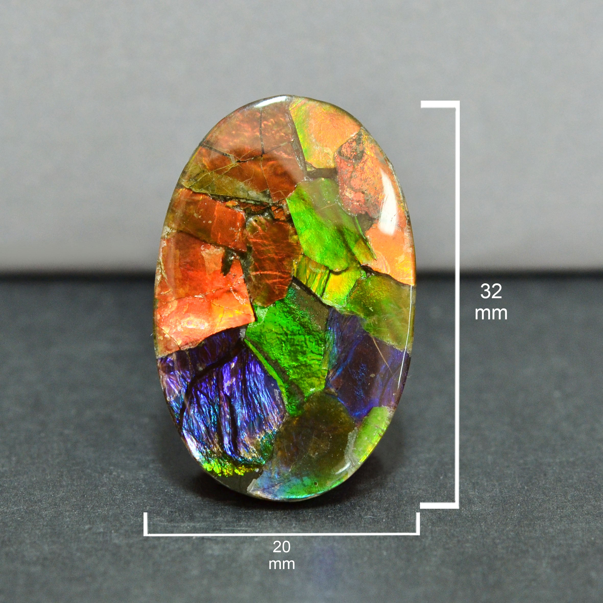 Ammolite Loose Stone