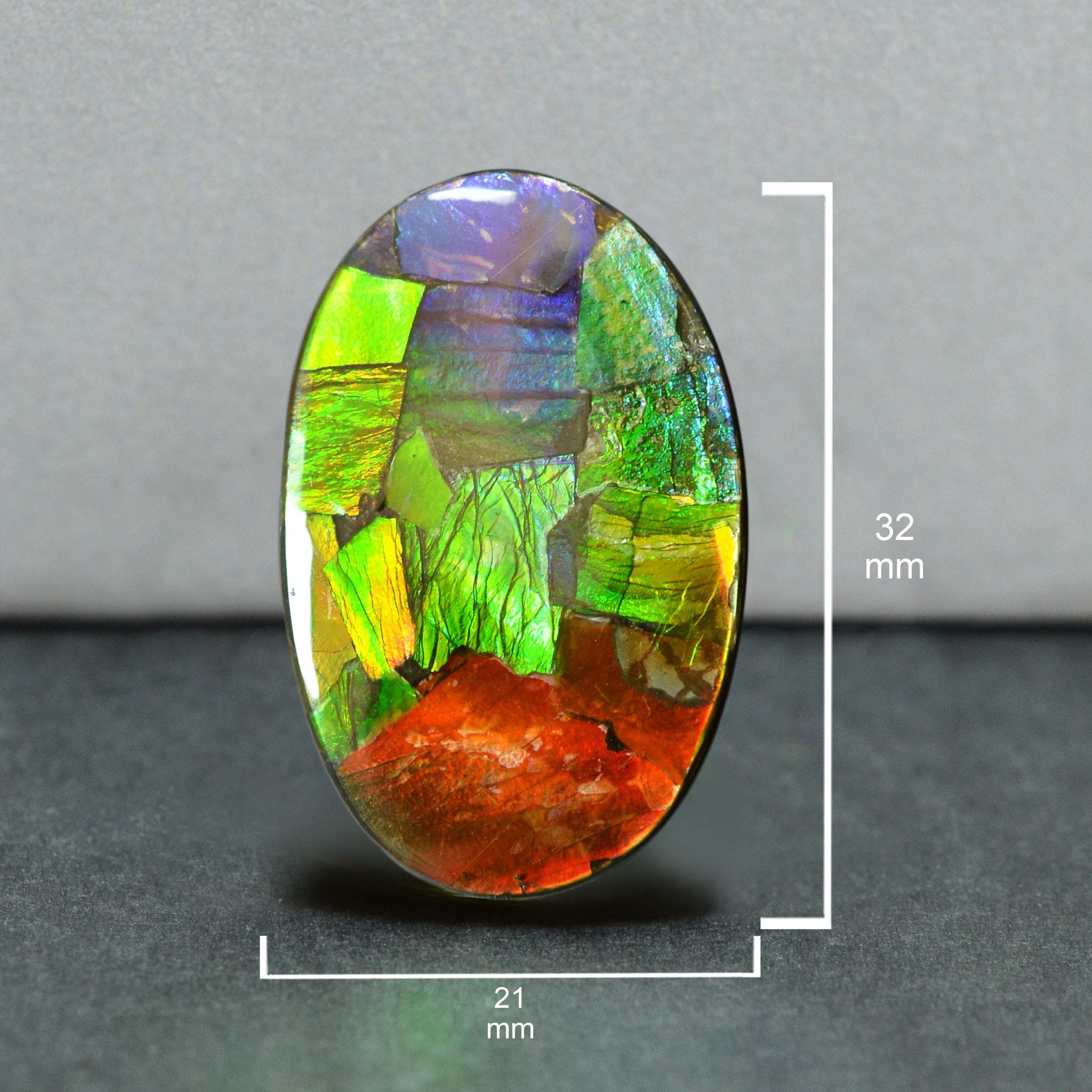 Ammolite Loose Stone