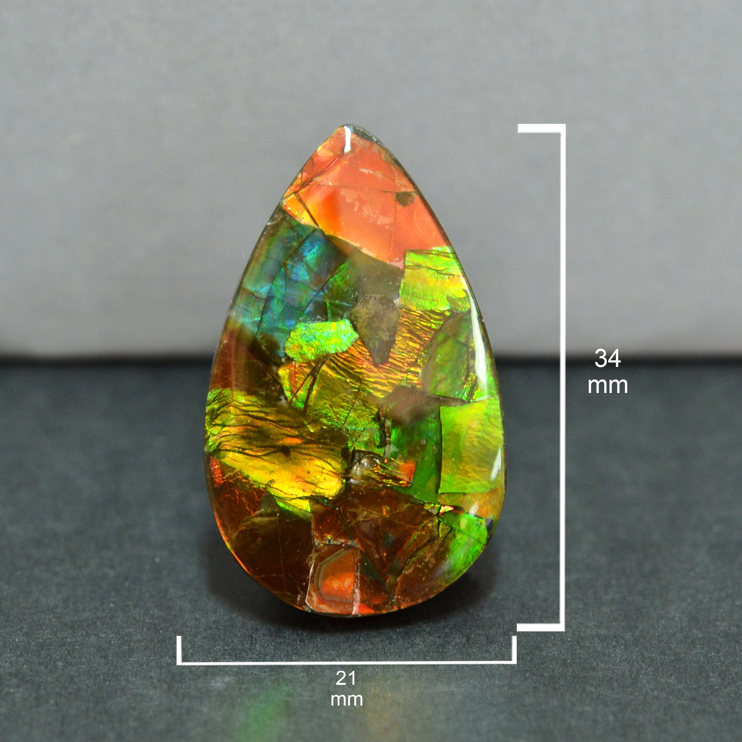 Ammolite Loose Stone