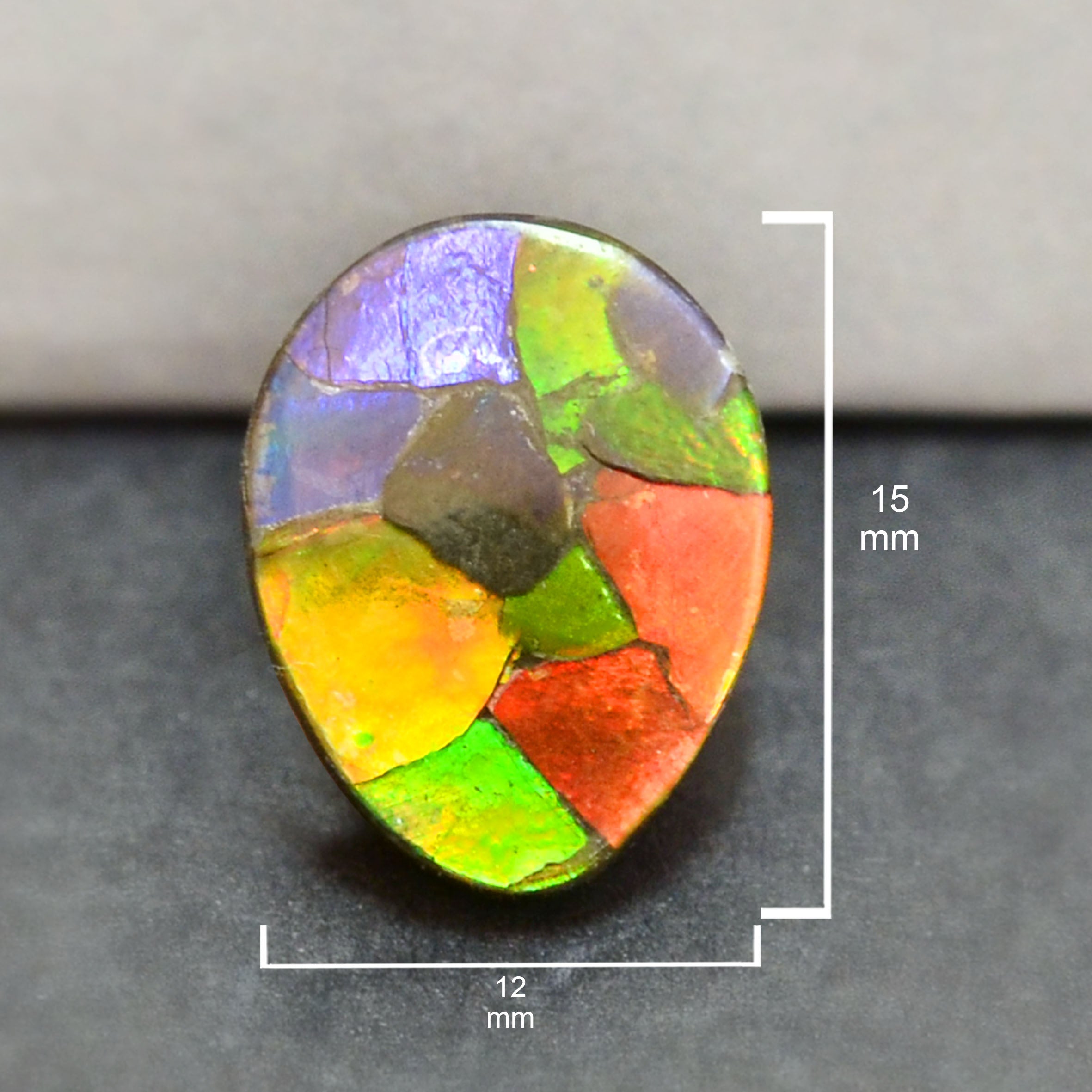 Ammolite Loose Stone