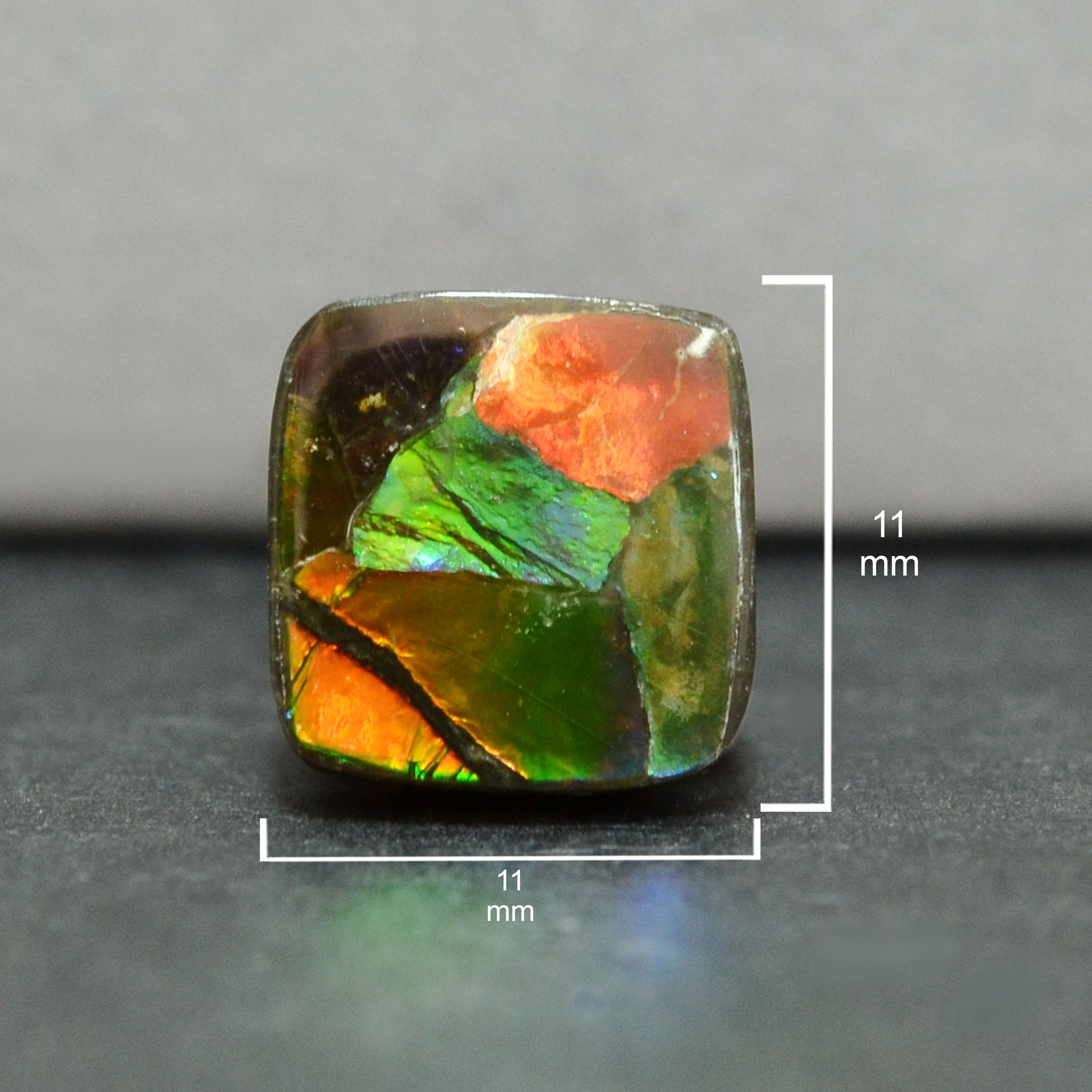 Ammolite Loose Stone