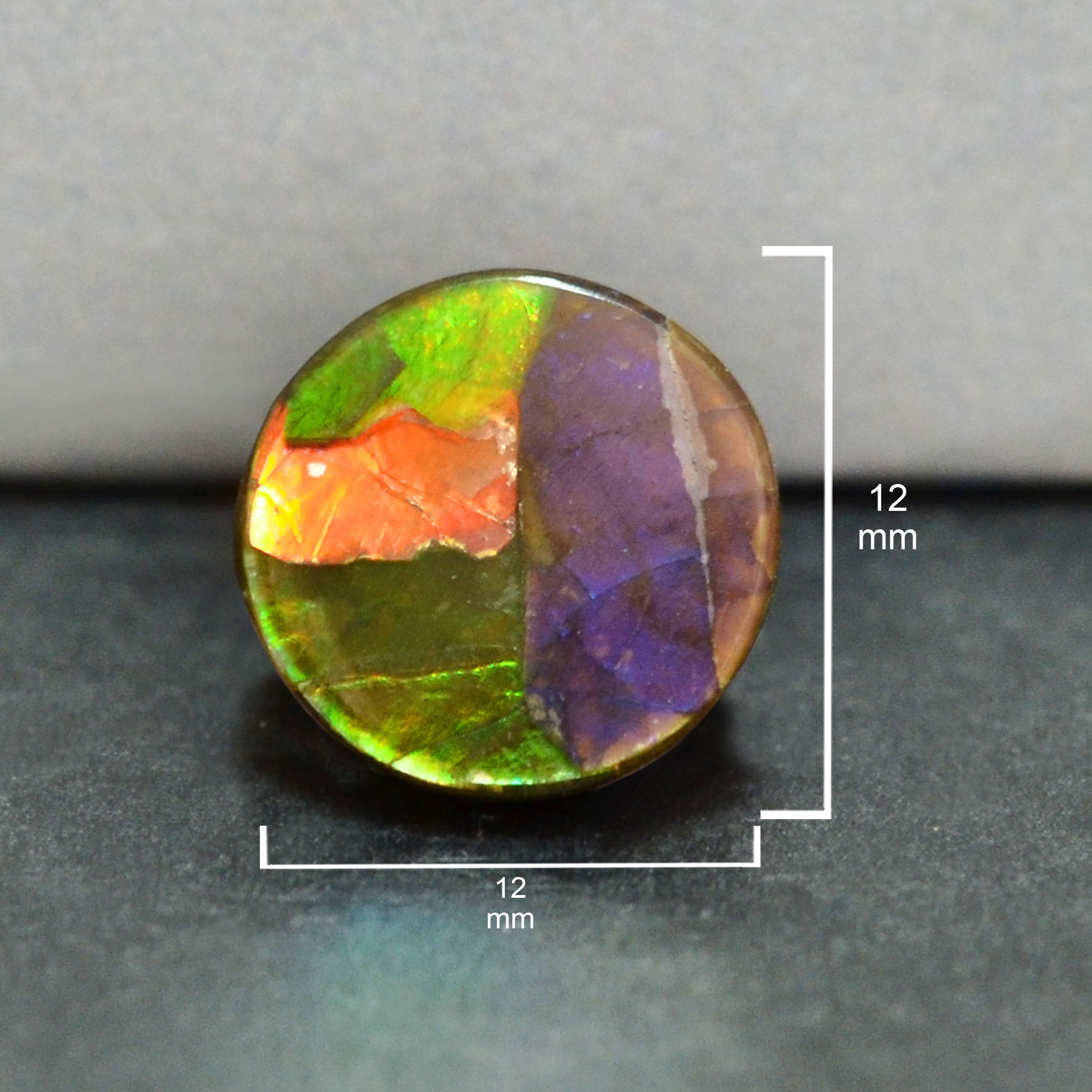 Ammolite Loose Stone