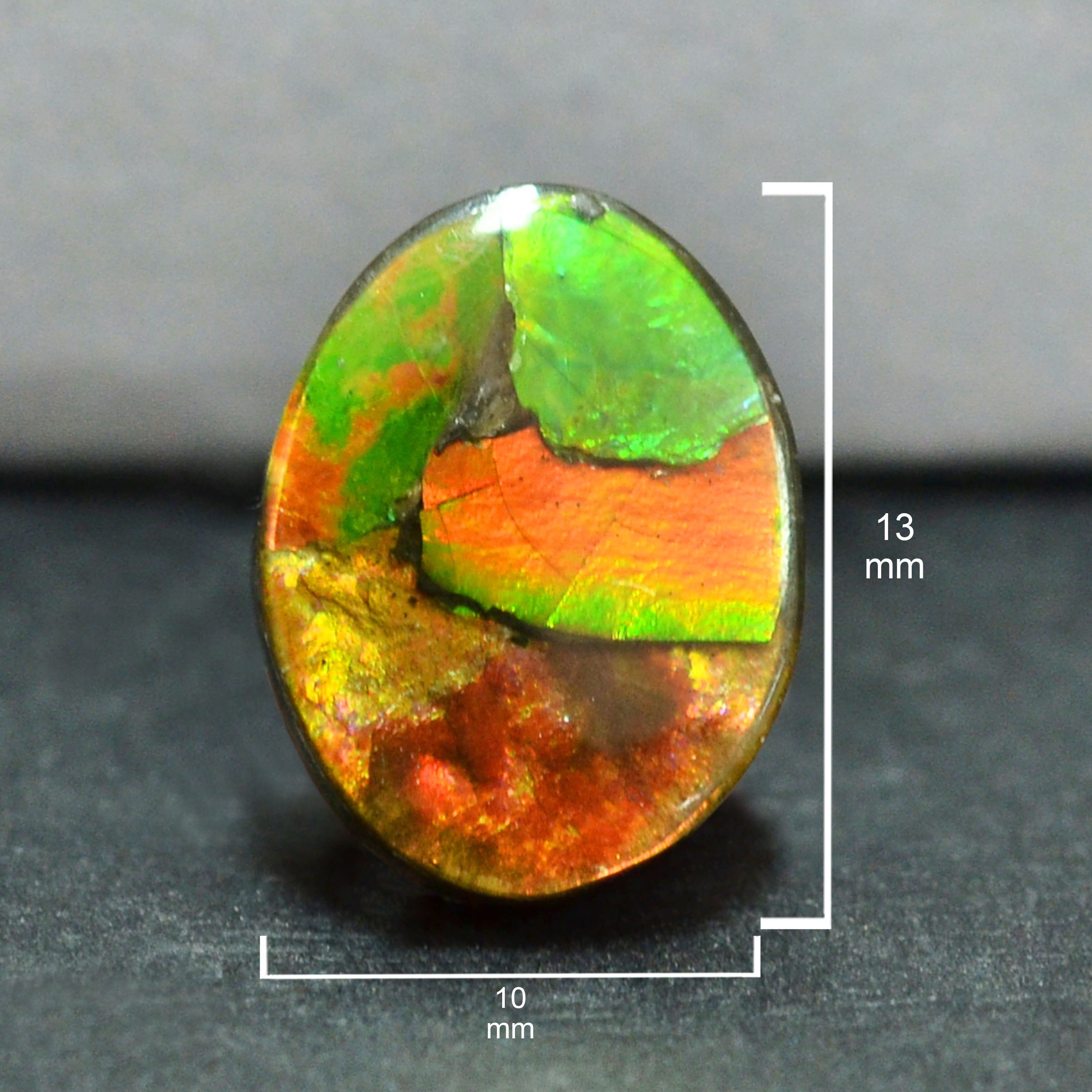 Ammolite Loose Stone