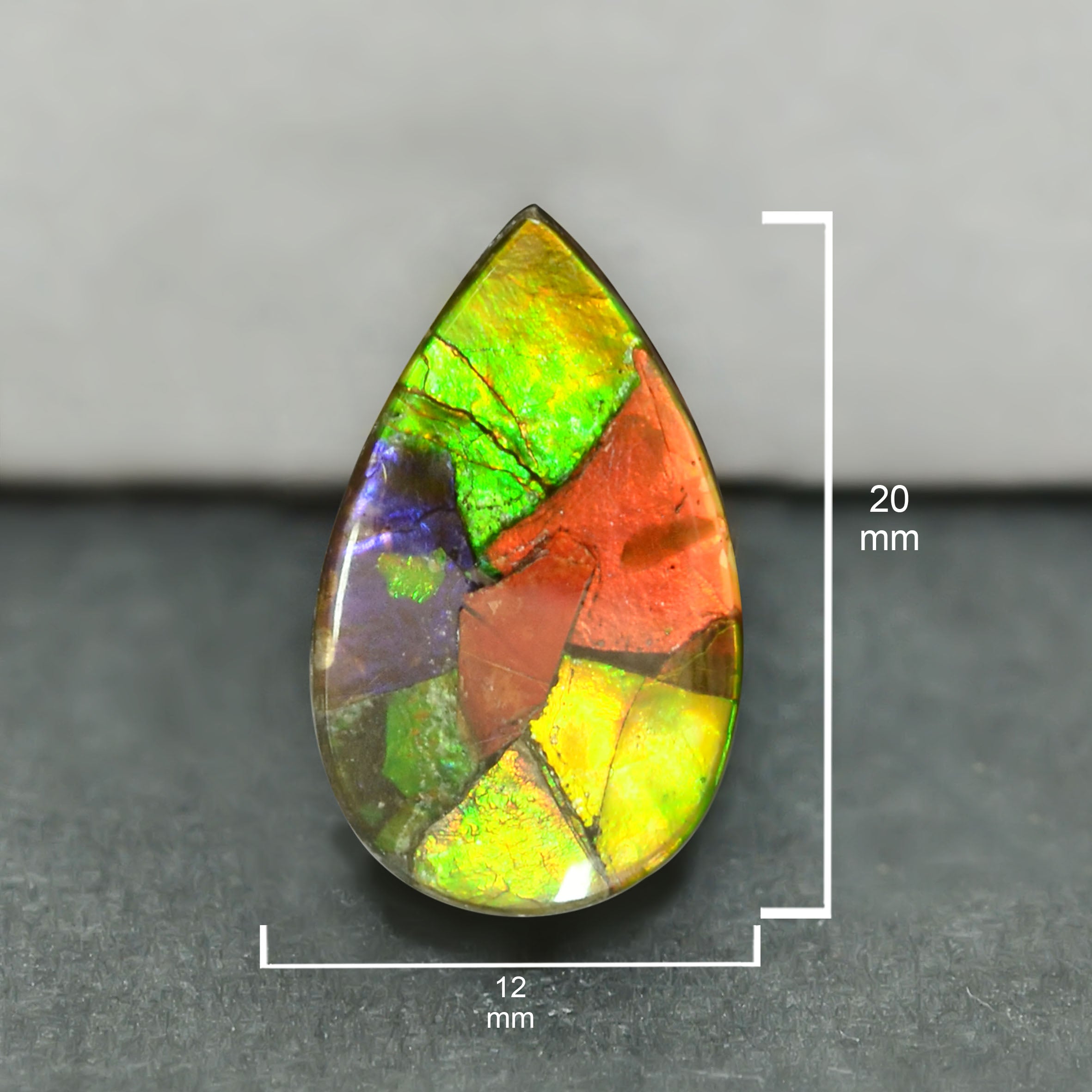 Ammolite Loose Stone