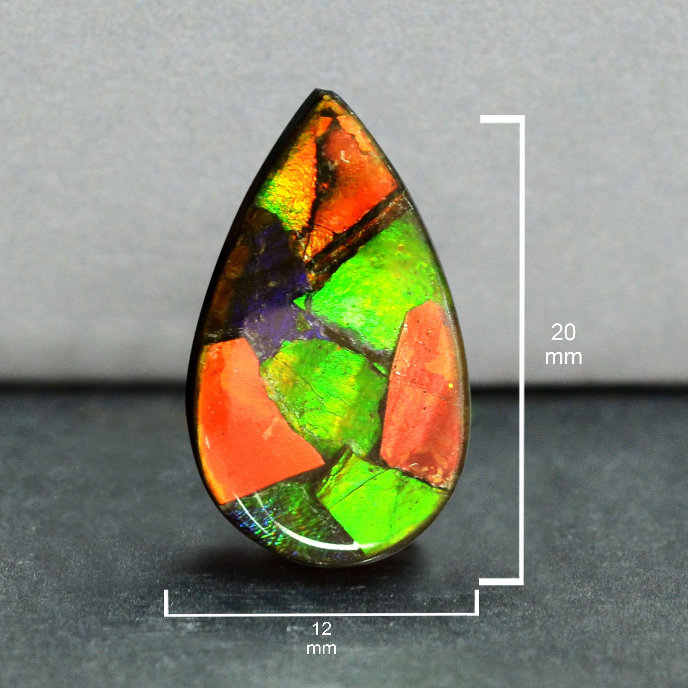 Ammolite Loose Stone