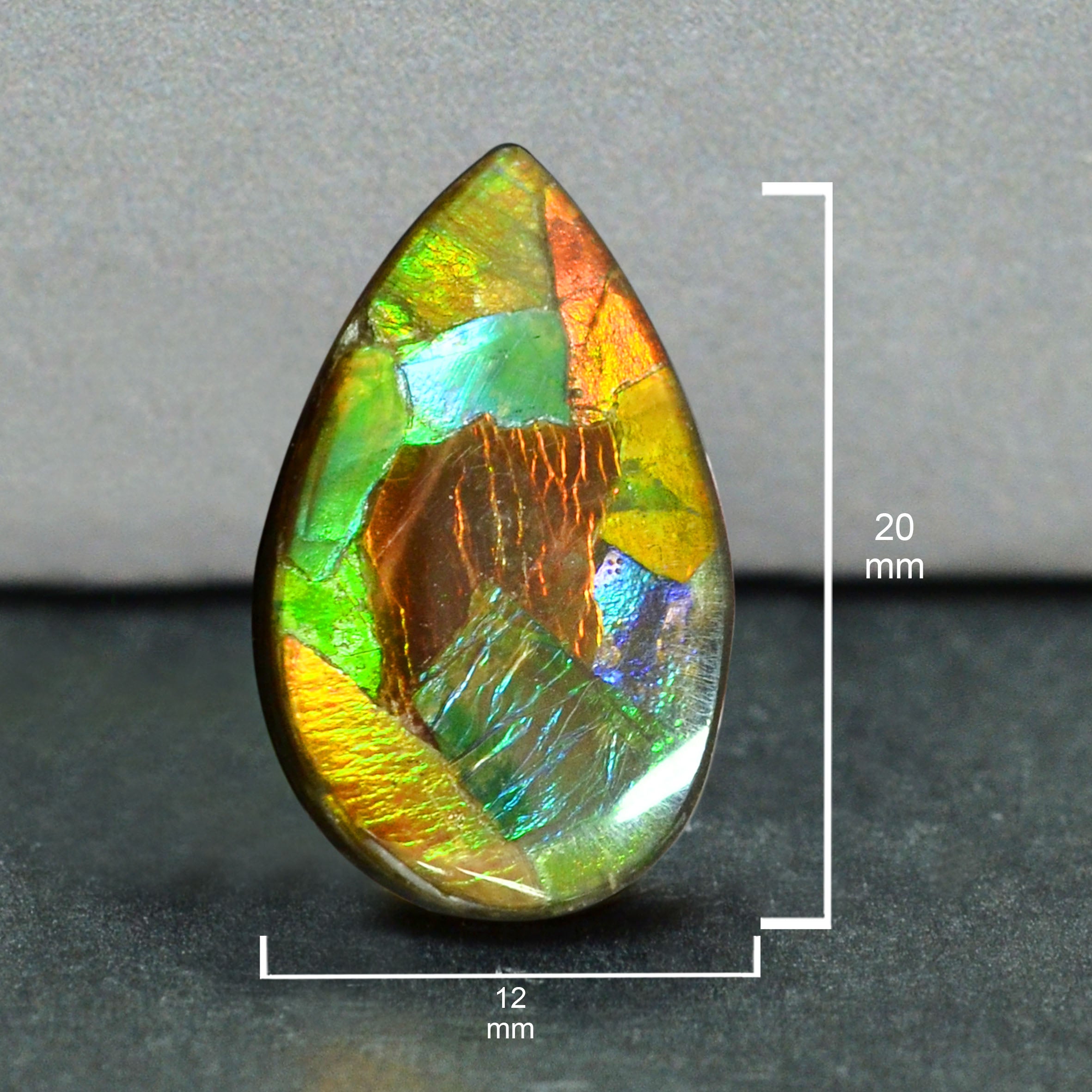 Ammolite Loose Stone