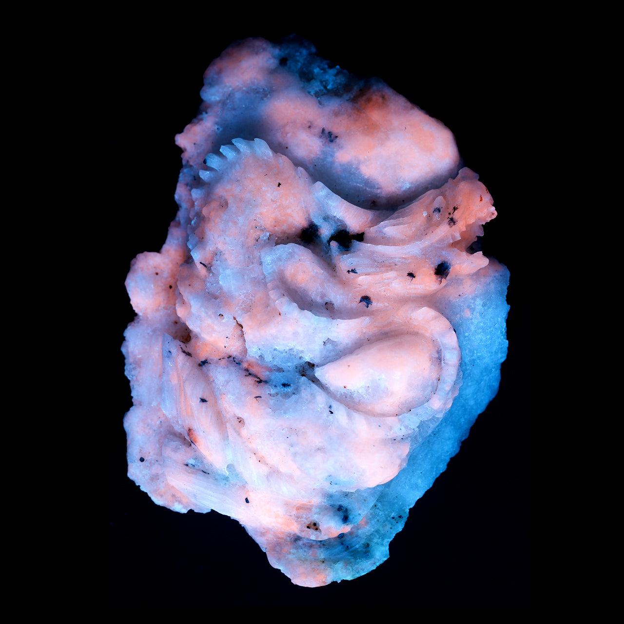 Fluorescent Hackmanite Carving