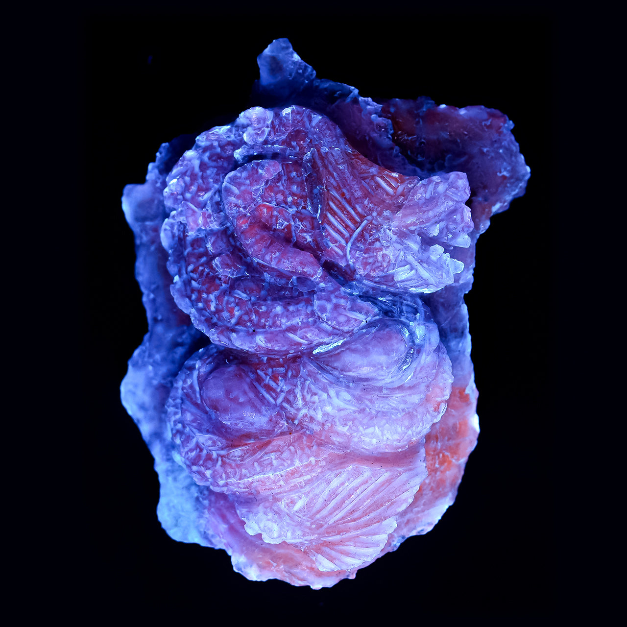 Fluorescent Hackmanite Carving