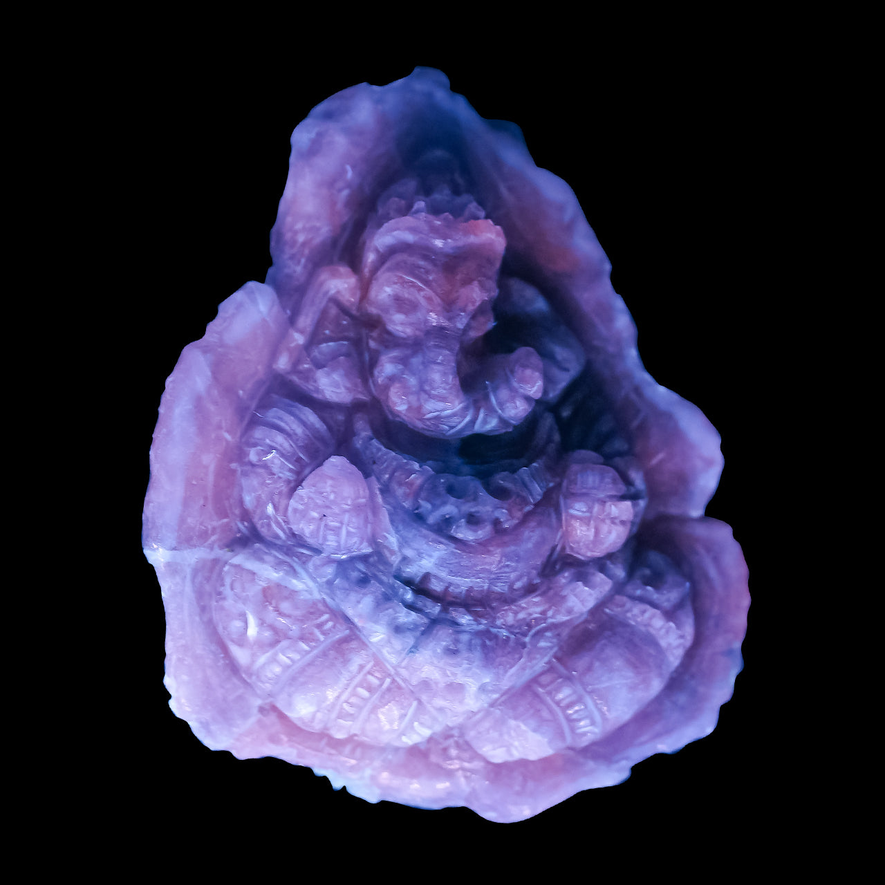 Fluorescent Hackmanite Carving