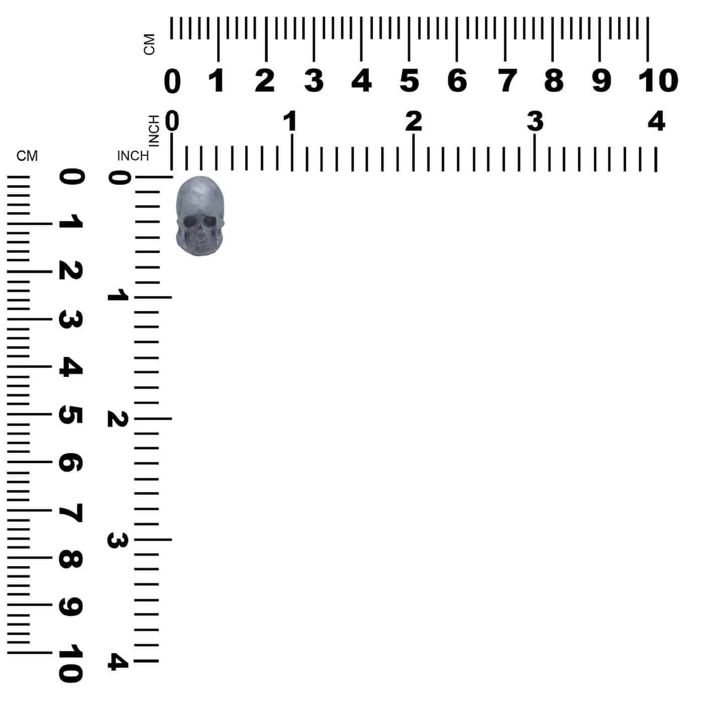 OSILCV006.3