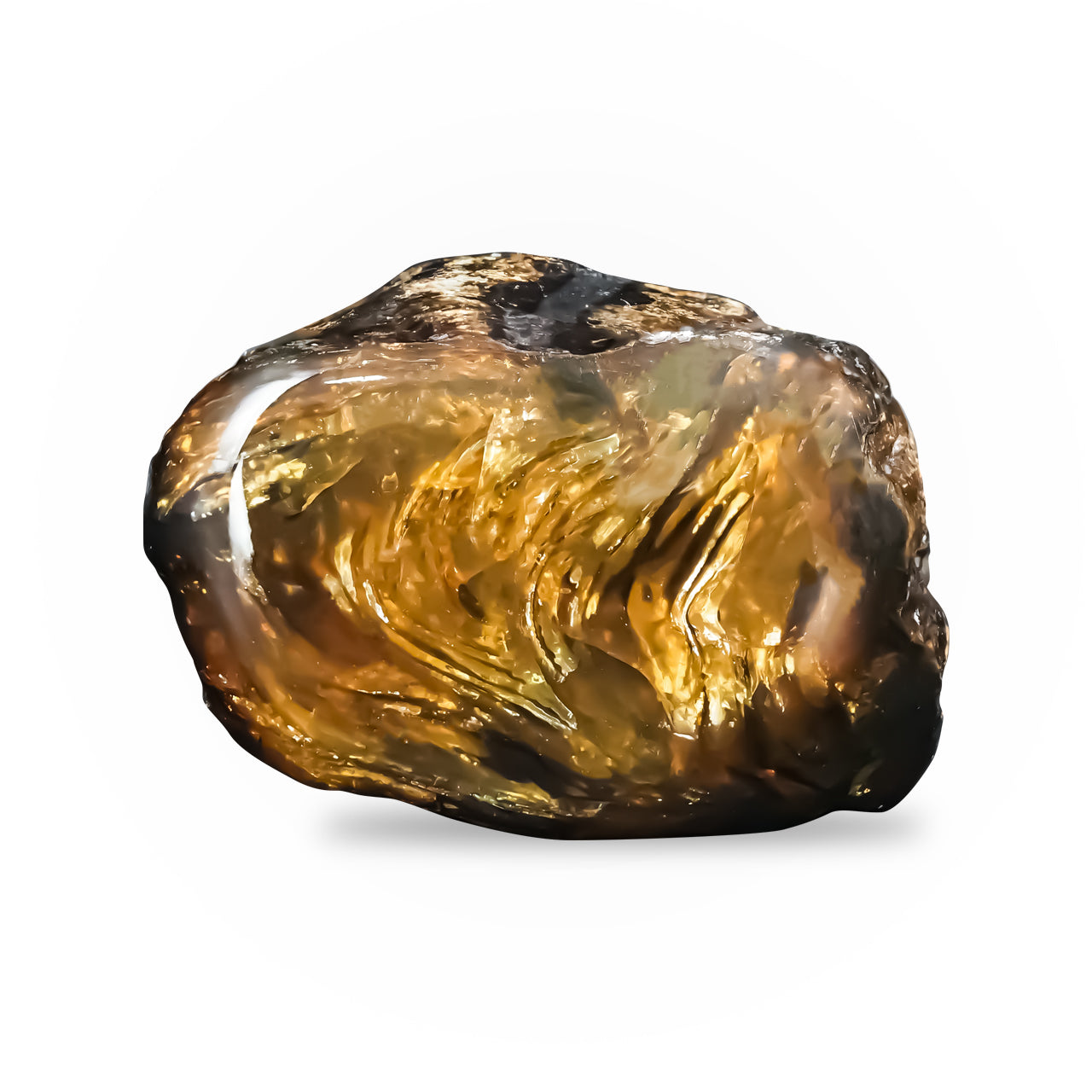 Sumatra Lion's Mane Amber