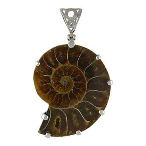 Starborn-Fossilized-Ammonite-in-Sterling-Silver-Pendant-B085RNXX6S