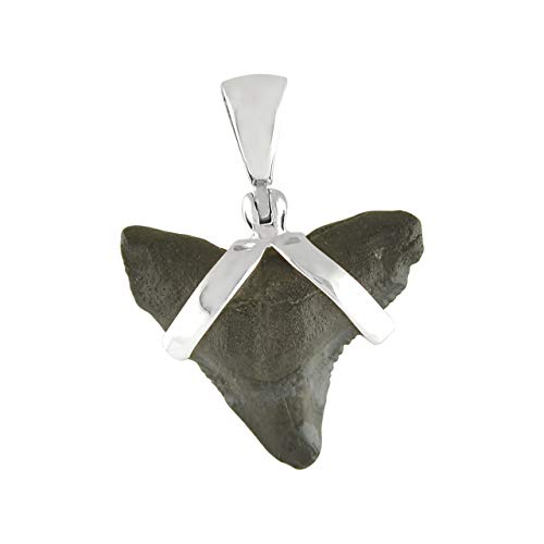 Starborn-Sterling-Silver-Black-Fossil-Shark-Tooth-Pendant-B01ICF8NQW